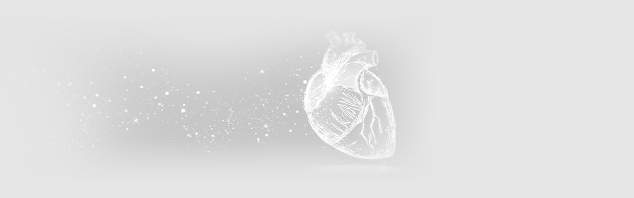 Echocardiogram (Echo)